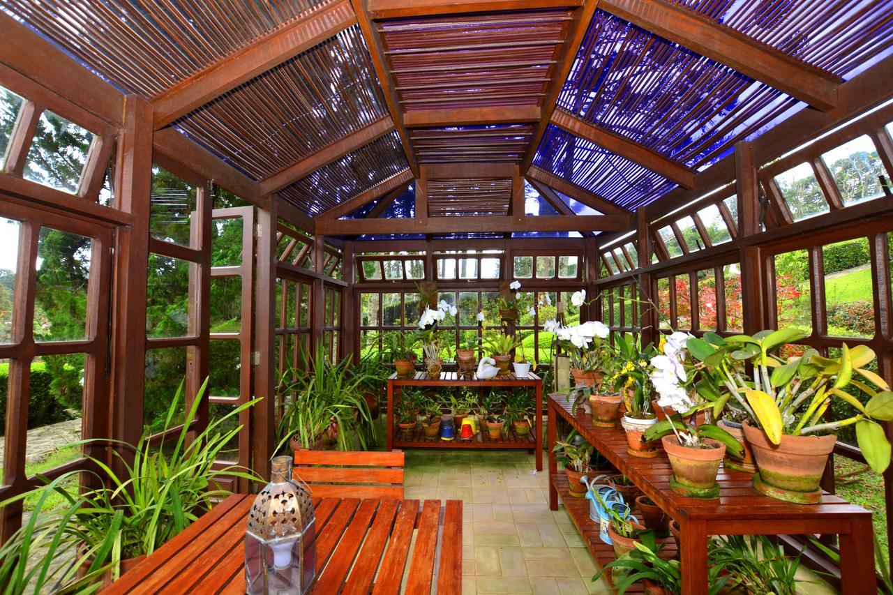 Roots Resort Monte Verde  Esterno foto